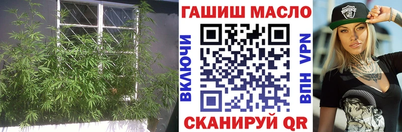 OMG ТОР  Наро-Фоминск  маркетплейс телеграм  ТГК THC oil 